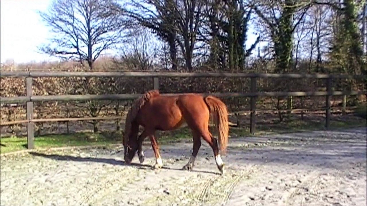 Djedai le 08-03-2015