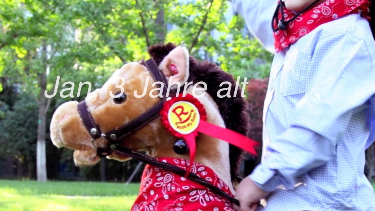 Schaukelpferd Western