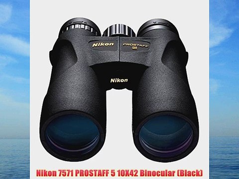 Nikon 7571 PROSTAFF 5 10X42 Binocular (Black)