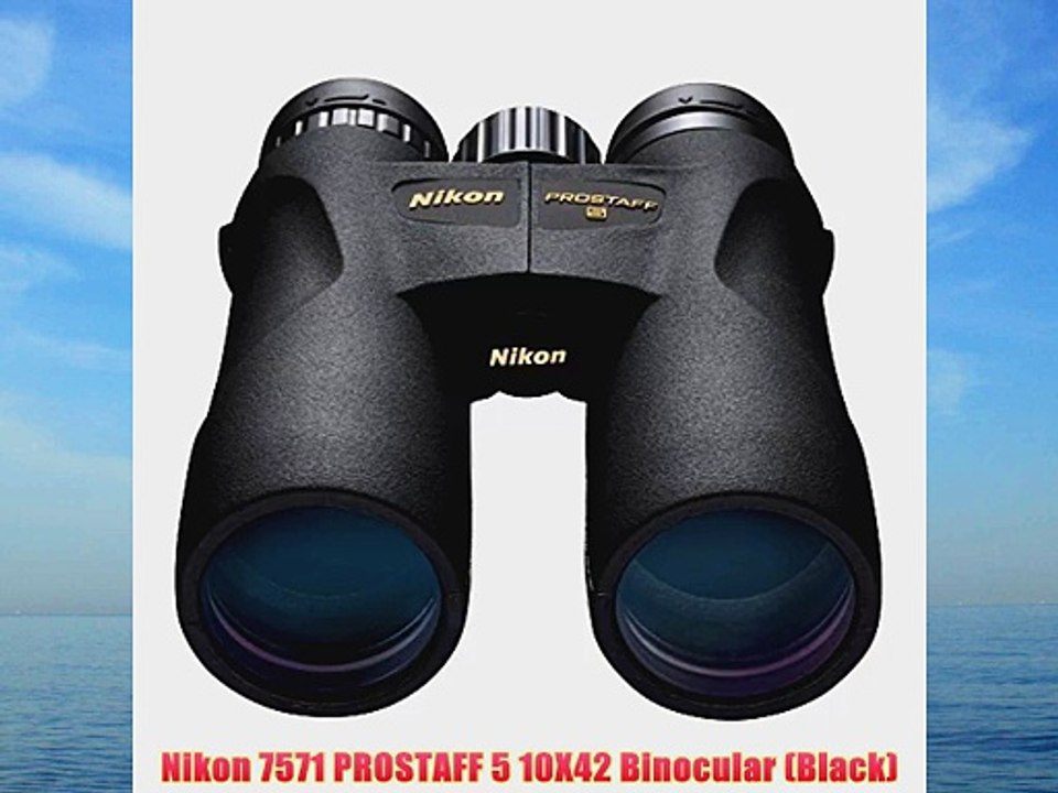 Nikon 7571 PROSTAFF 5 10X42 Binocular (Black)