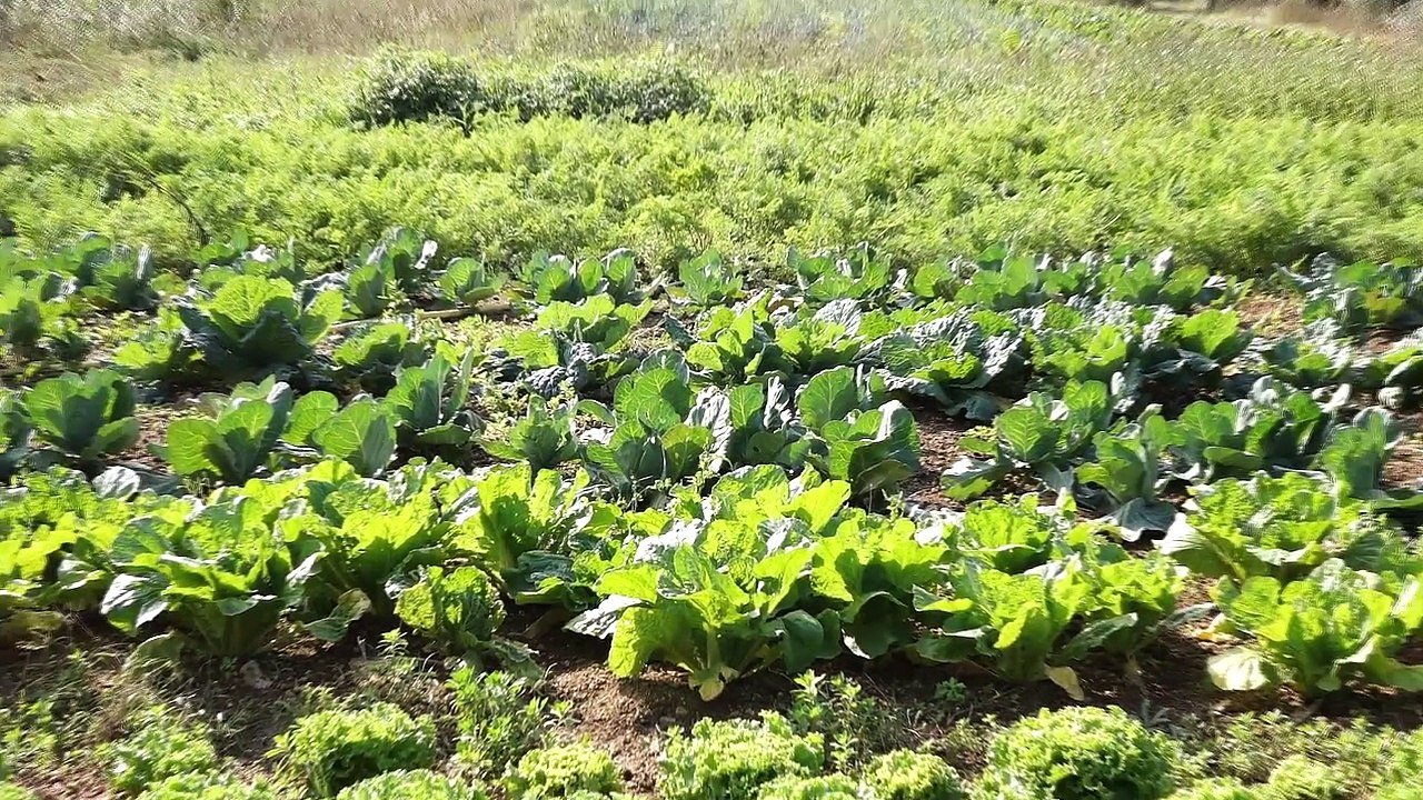 Agribio_Preserver_Terres_720p