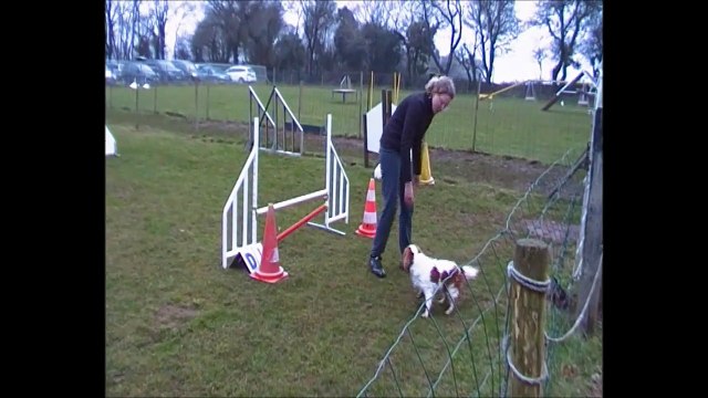 Ségolène et Ivoire Pass Agility Relecq Kerhuon