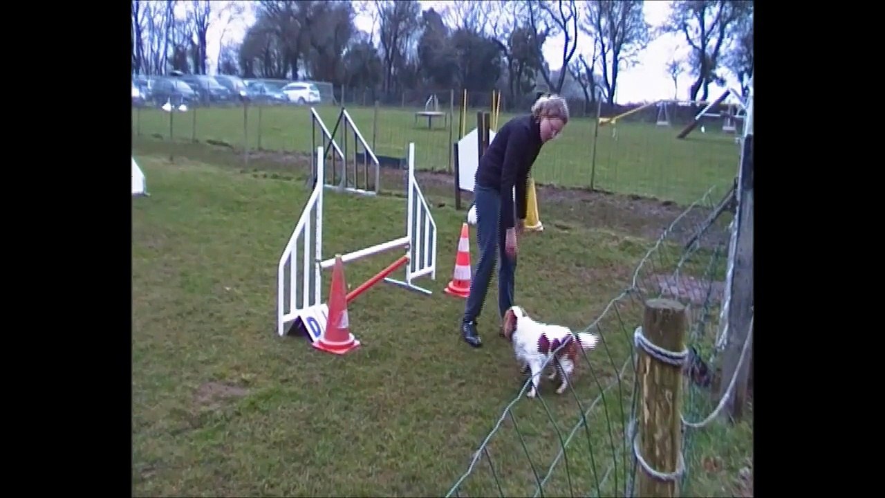 Ségolène et Ivoire Pass Agility Relecq Kerhuon