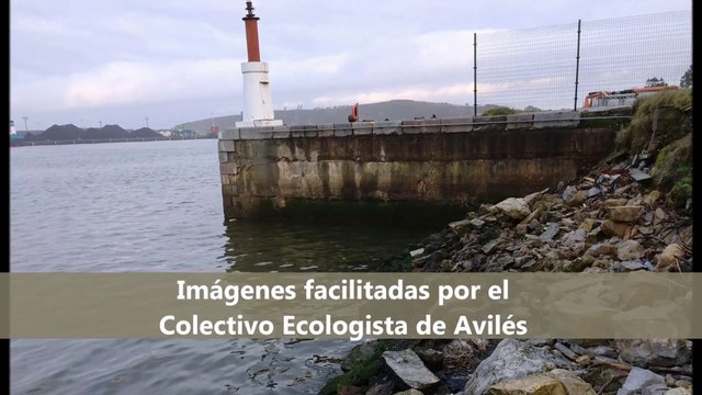 Ecologistas piden limpieza del vertido de fuel en ría de Avilés y playa del Espartal