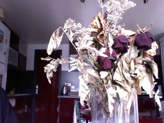 appel à insurrection