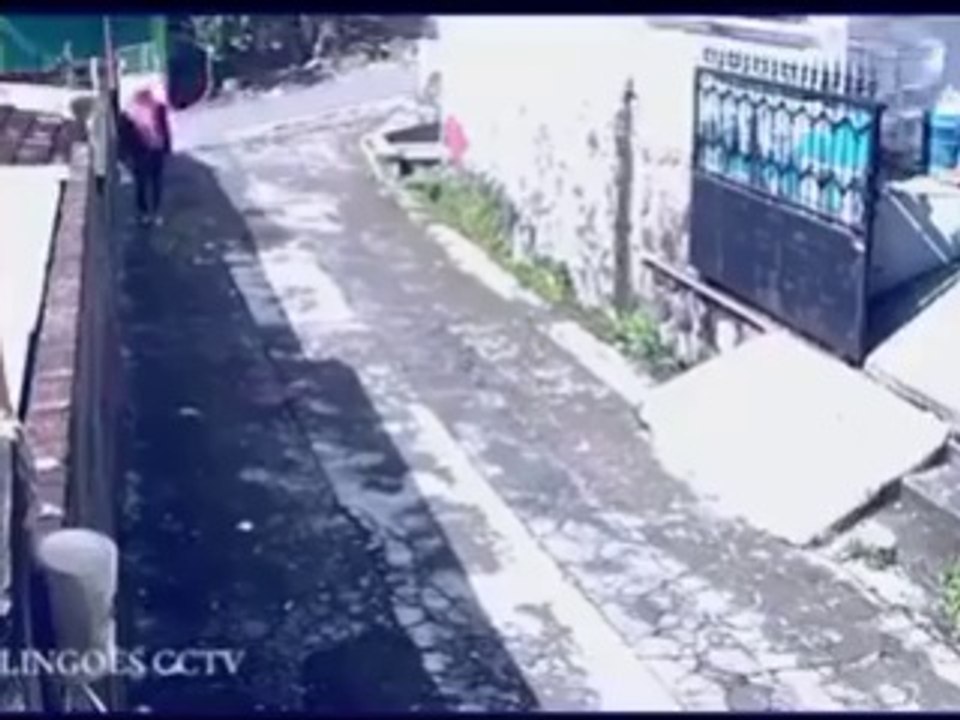 What a brilliant reaction of this woman with a purse snatcher – superb video