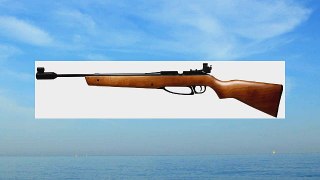Daisy Avanti 853C air rifle