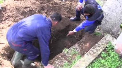 Mezar Kazarken Tarihi Esere Rastladılar