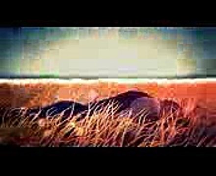 Six-Guns Gang Showdown