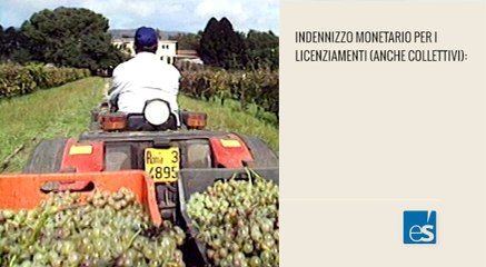 Jobs act, cosa cambia nei prossimi mesi