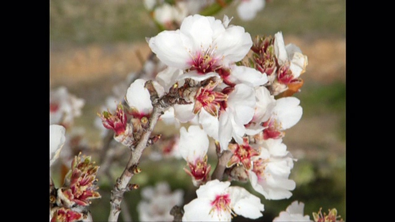 Salida_08032015