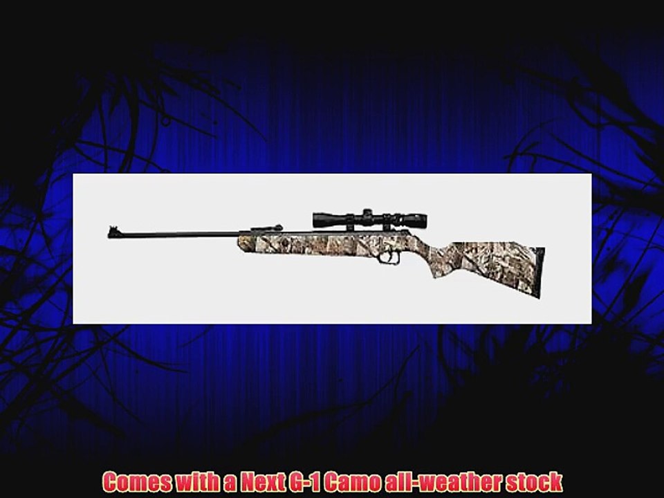 Beeman Predator .177 Caliber Air Rifle