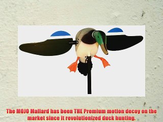 Mojo Outdoors Mallard Drake Decoy