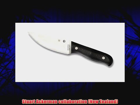 SPYDERCO Serrata G-10 Plain Edge Knife Black