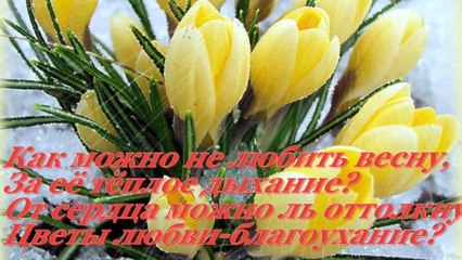 Противостояние. Весна и любовь!