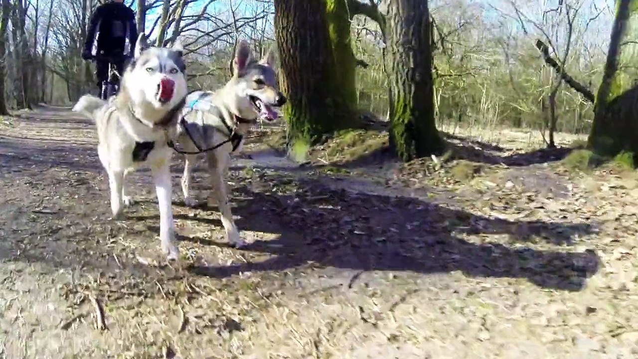 Trainingsrunde delmenhorst 08.03.15