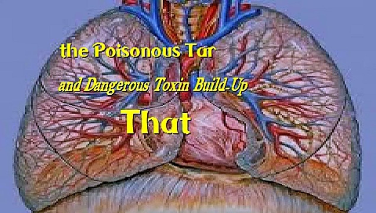 The Complete Lung Detoxification Guide