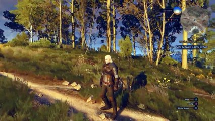 The Witcher 3 Gameplay - Combat, Spells, Open World, Sunrise
