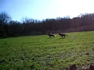 Course dans les champs