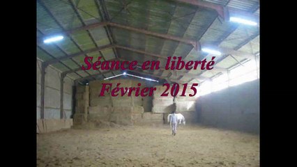 Travail en liberté (février 2015)