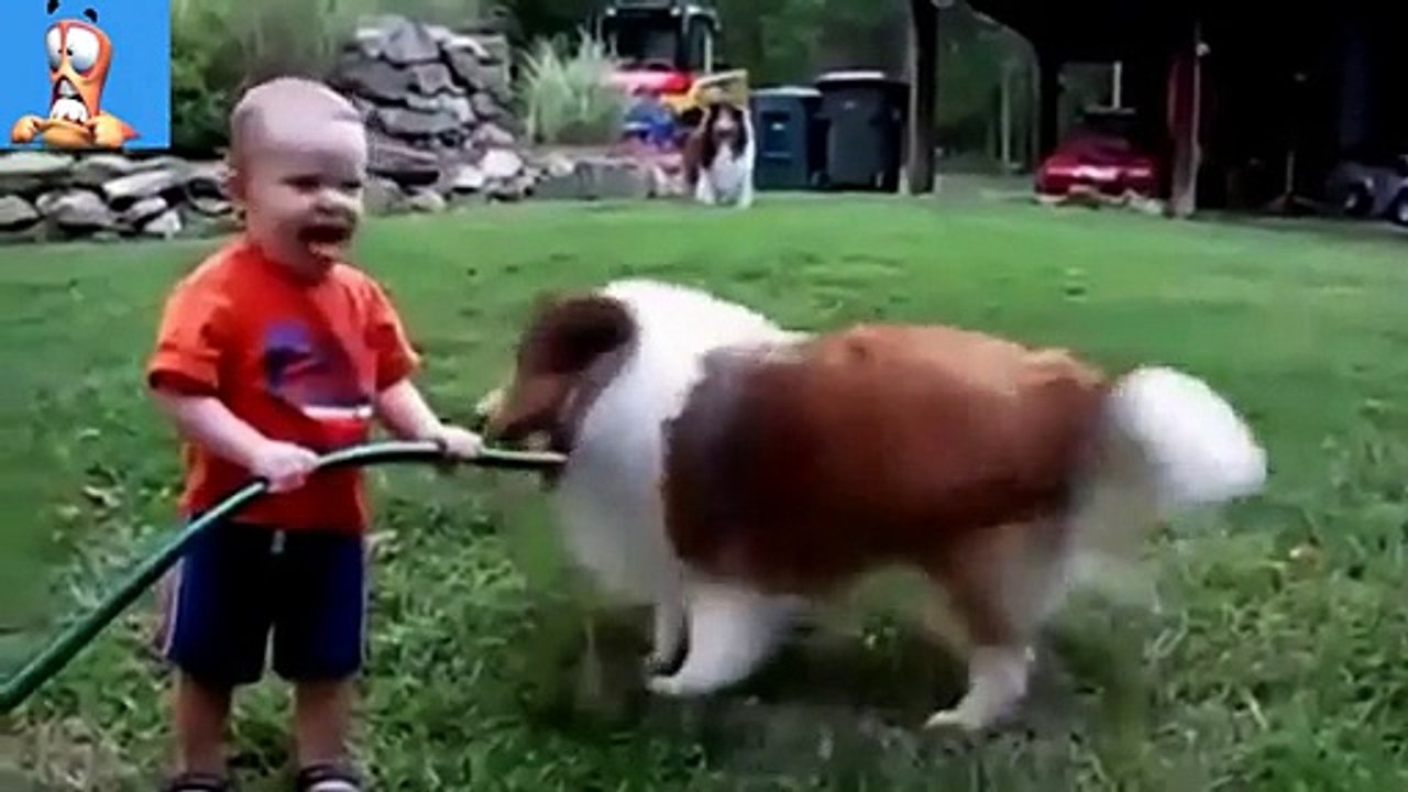 Dogs & Cats Best Nannies For Babyes Compilation 2014 (Funny)