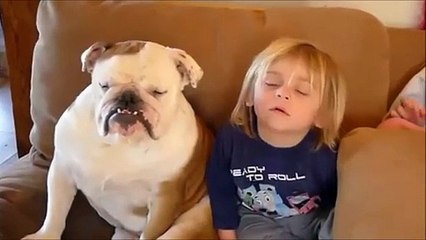 Dogs Best Nannies for Kids Compilation November 2013