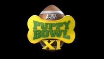 Inside Out Official Puppy Bowl TV Spot (2015) - Disney Pixar Movie HD