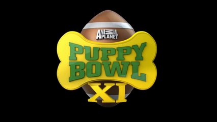 Inside Out Official Puppy Bowl TV Spot (2015) - Disney Pixar Movie HD