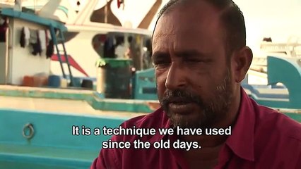 Brilliant and Unique Method of Catching Fish in Maldives