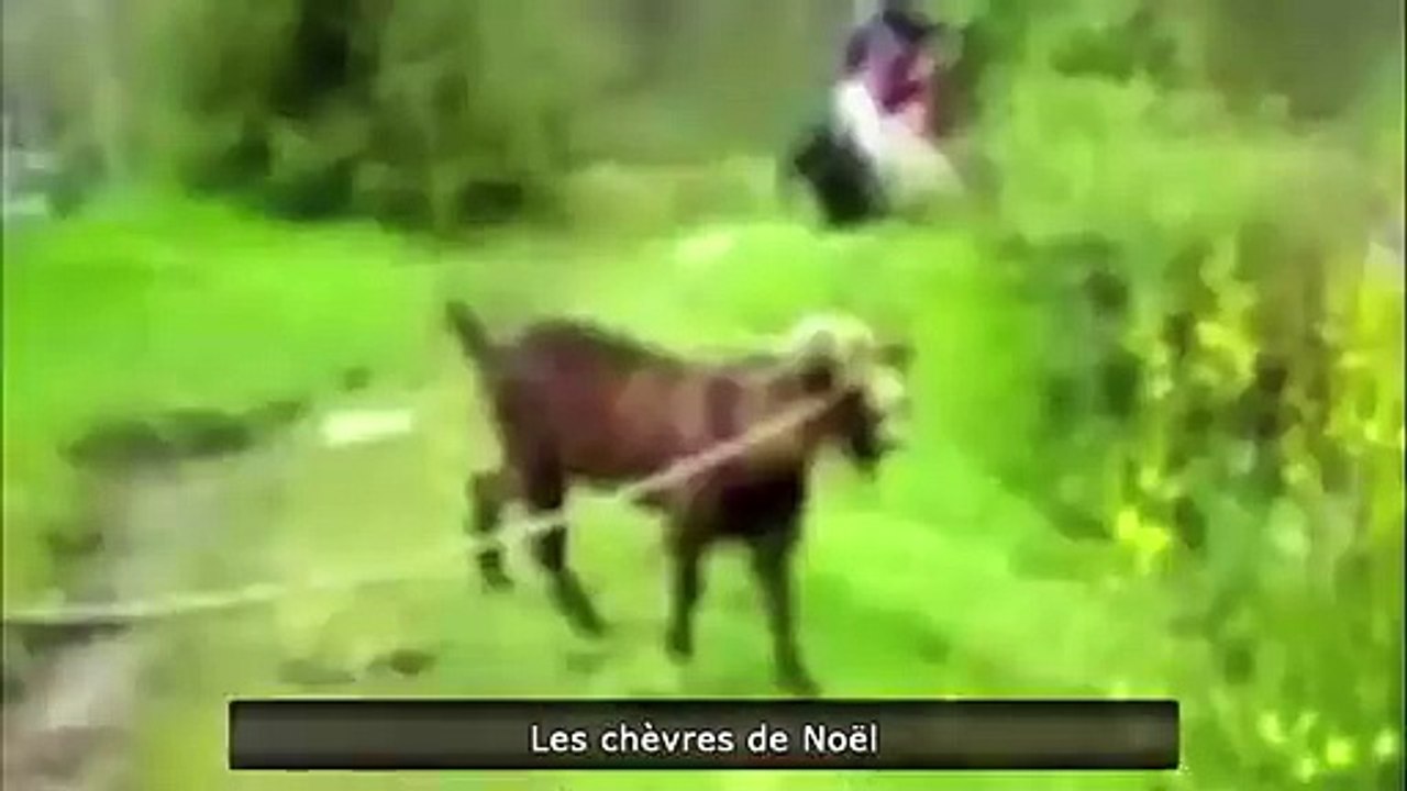 Best Win& Fail Zap de Spion com n°199