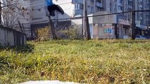 Parkour Fail Amateur Freerun Compilation