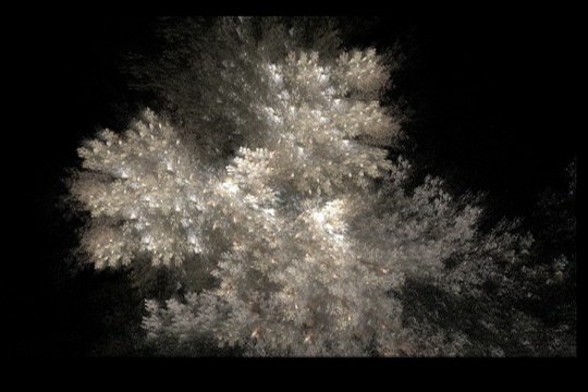 Relaxation Meditation Music Relaxing Nature Sounds Tibetan Chakra Meditation Music for Massage Yoga