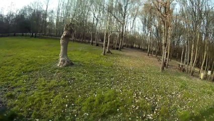 Pilotage en père tranquille.