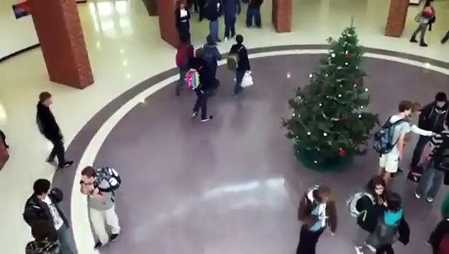 Que faire de son sapin à la fin des fêtes