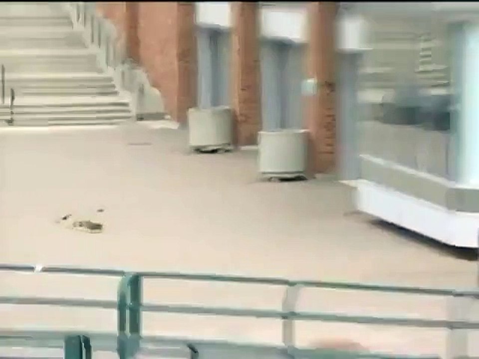 Des canards qui ne savent pas marcher à cause du vent