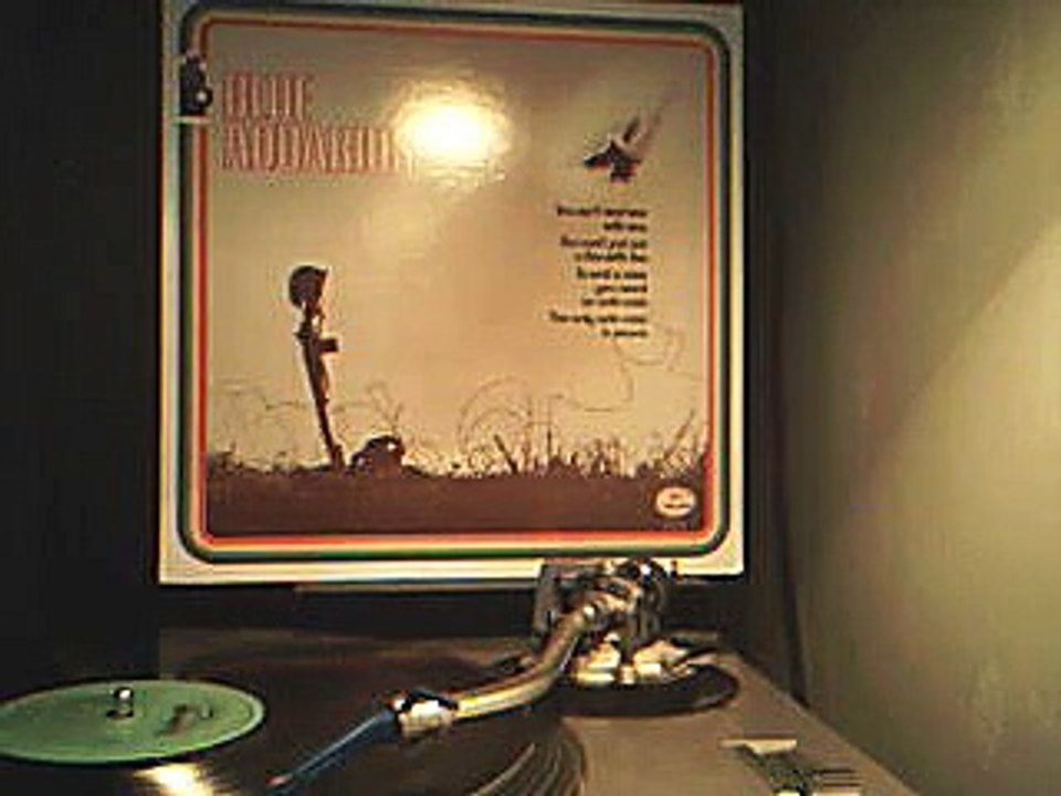 Blue Aquarius - Foxfire