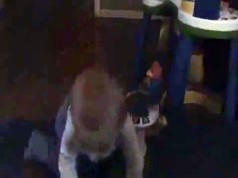 Le bébé qui se fait peur en petant.