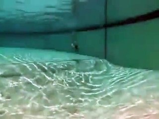 Comme un poisson dans l'eau.