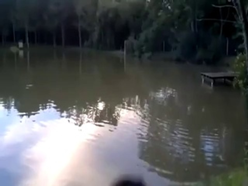 Le plongeon le plus rapide du monde