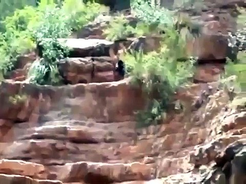 Il ne faut jamais hésiter avant de faire le grand saut