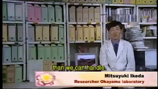 Un hamburger fait à pratir d'excréménts humains