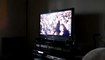 Un chat regarde un concert de rock à la télé