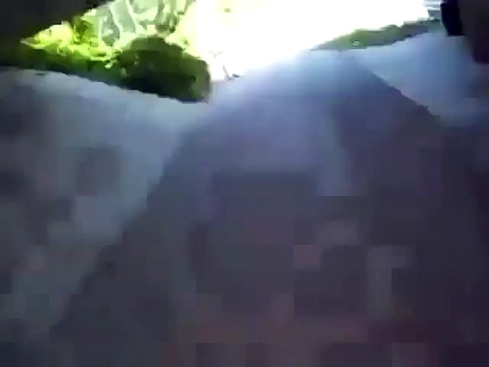 Le mec bourré qui tombe dans les buissons