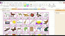 Alfabeto arabo - live corto  - Lezioni di arabo