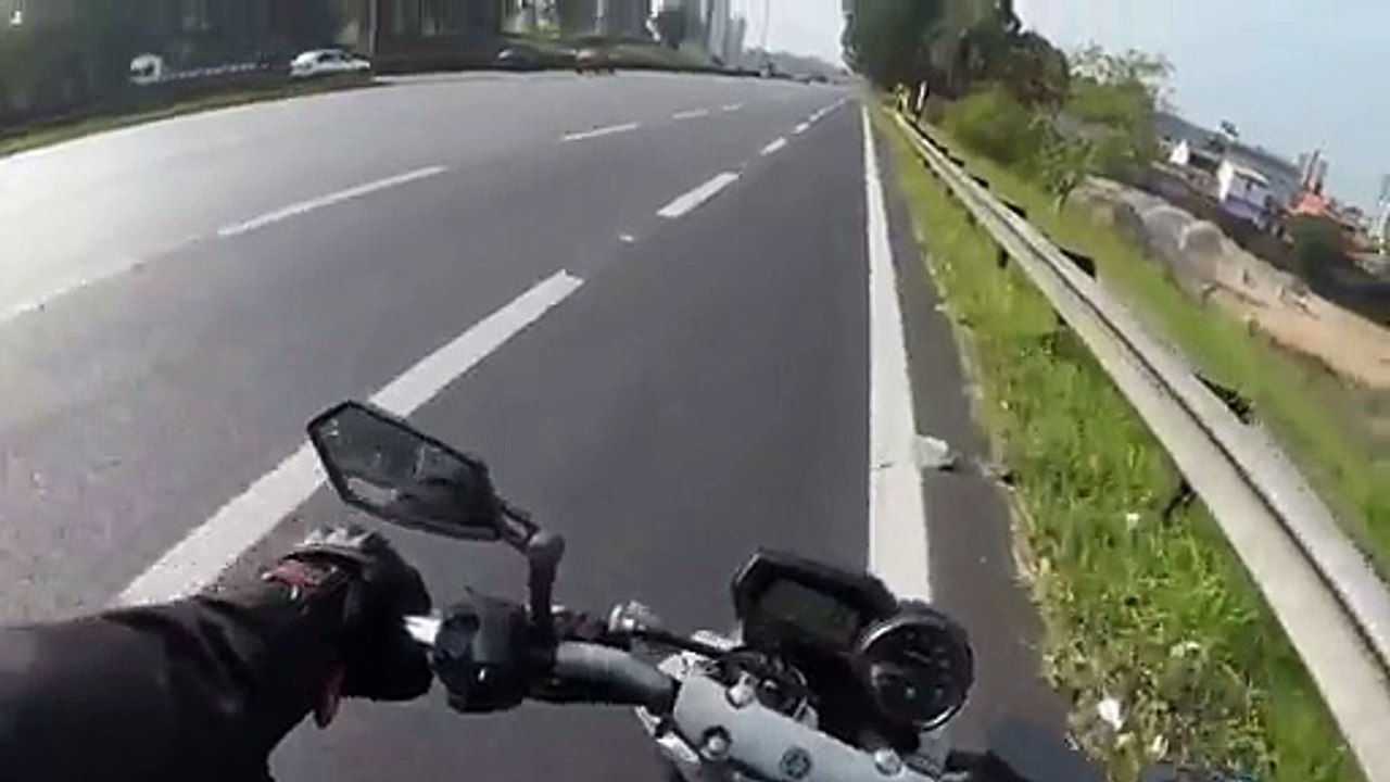 Des motards sauvent un chien perdu sur l'autoroute...