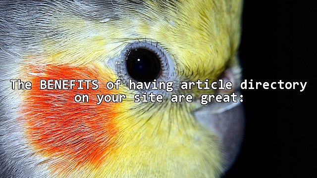 Content, Traffic And More Google Adsense Profits