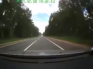 Un élan renversé sur une route par deux voitures