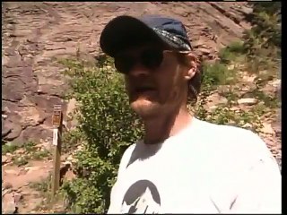 Un chien complètement fou fait de l'escalade