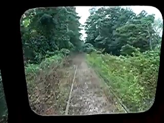 Des rails de chemin de fer disparaissent dans la forêt