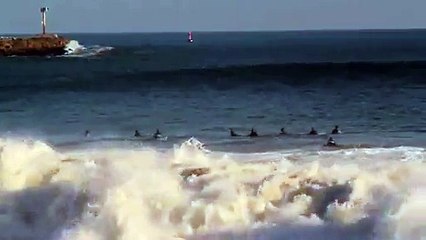 Un dauphin joue avec des surfeurs. Trop fort...